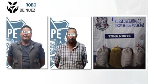 Continúa SSPE con operativo Cosecha de Alto Valor en el estado