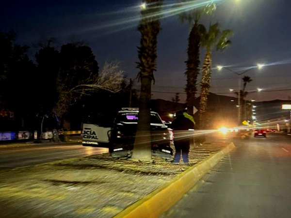 Choca patrulla de la Policía Municipal contra palmera en la División del Norte