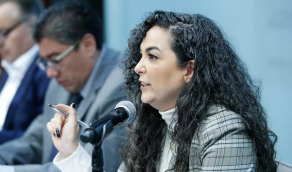 Más morenistas en la lista de narcopolíticos: ligan a senadora con Cártel del Golfo