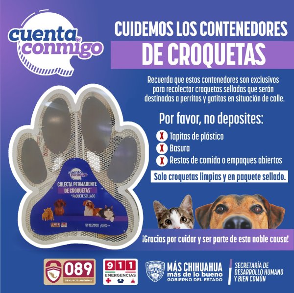 Gobierno del Estado invita a sumarse a la campaña de donación de croquetas para apoyar a refugios y rescatistas de animales