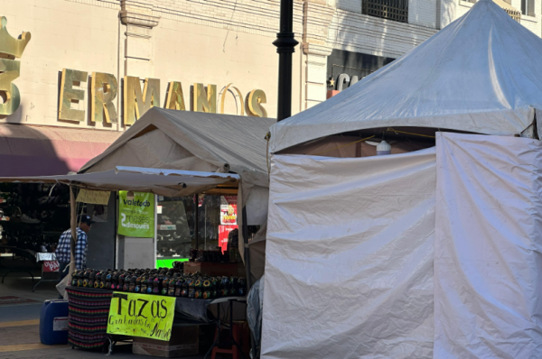 “El comercio informal nos afecta a los locatarios del centro”: Cocentro por los 120 permisos otorgados a ambulantes