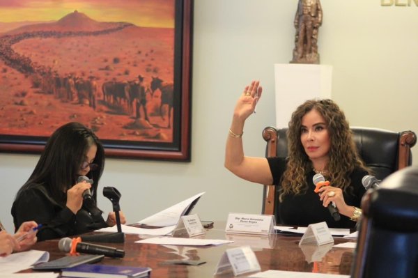 Aumentar las franquicias en zona fronteriza en esta época ayuda a la economía familiar: María Antonieta Pérez