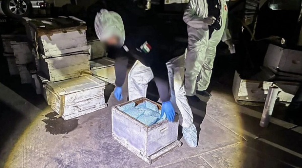 Sinaloa, Baja California y Sonora: los estados que concentran decomisos de fentanilo y metanfetamina