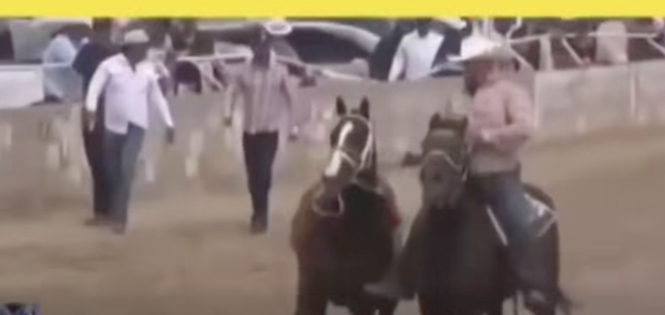 Hay 7 personas sin vida en el carril de carreras Santa Teresa; entre estos líderes criminales