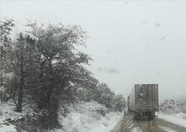 Se pronostica caída de nieve o aguanieve por primera tormenta invernal y frente frío 16