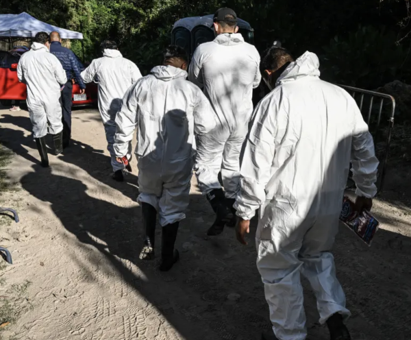 Encuentran a siete cadáveres en los límites entre Zacatecas y San Luis Potosí
