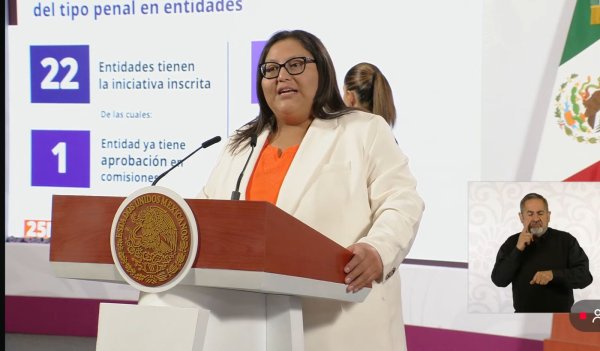 Presentarán congresos locales modelos de homologación en delito de abuso sexual: Fed