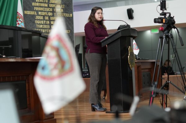 Argüelles propone castigar la cohabitación forzada y exige acciones contra el matrimonio y embarazo infantil