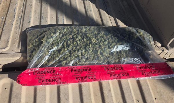 Asegura SSPE aproximadamente 2 kilogramos de marihuana durante operativo coordinado en Guerrero
