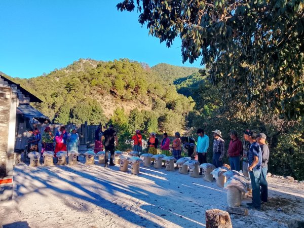 Distribuye Gobierno del Estado 5.6 toneladas de maíz y frijol en Guazapares