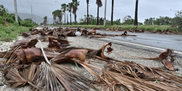 Primer ministro de Jamaica declara al país como 