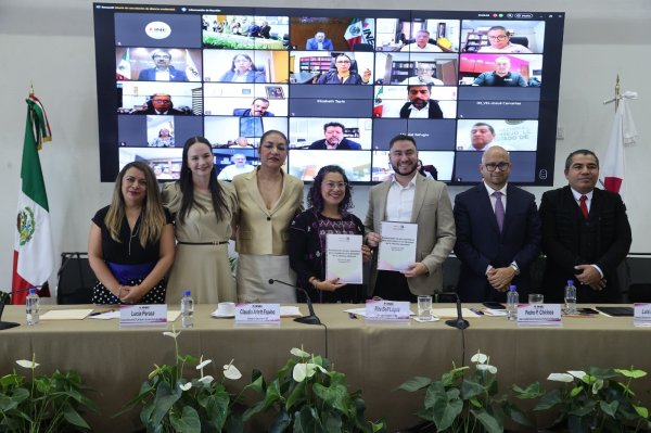 Recibe INE propuesta para la reforma electoral de la Red Nacional de Consejeras y Consejeros Electorales por una Democracia Incluyente