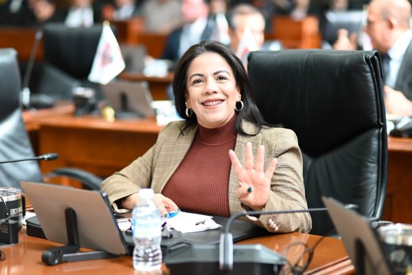 Congreso designa Panel de Especialistas para la elección del nuevo titular de la ASE