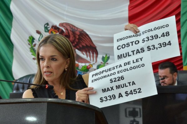 Diputada Xóchitl Contreras pone freno al negocio del ‘engomado ecológico