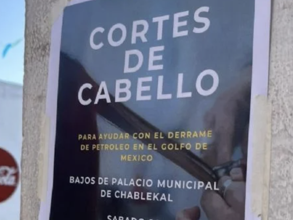 Colecta nacional de cabello: 16 estados se unen para frenar el impacto del derrame en Veracruz