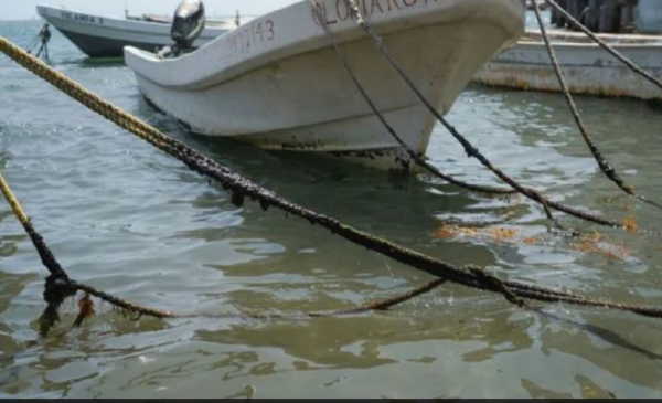 Sheinbaum anuncia “apoyo adicional” de 15 mil pesos para pescadores afectados por derrame de crudo