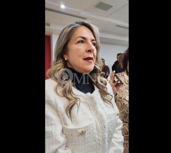 Dejaría Rosana Díaz el GPMorena la próxima semana para sumarse al Partido Verde, aliado de la 4T