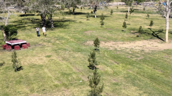 Comienza a circular “renta” de espacios en El Chamizal; alertan por posibles estafas