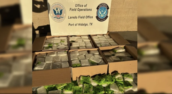 Metanfetamina oculta entre zanahorias: CBP decomisa droga valuada en 2.6 mdd en Texas