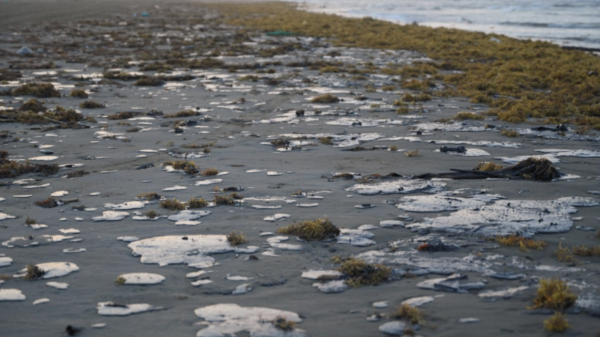 Derrame en el Golfo de México ya afecta 900 kilómetros de litoral, alertan organizaciones
