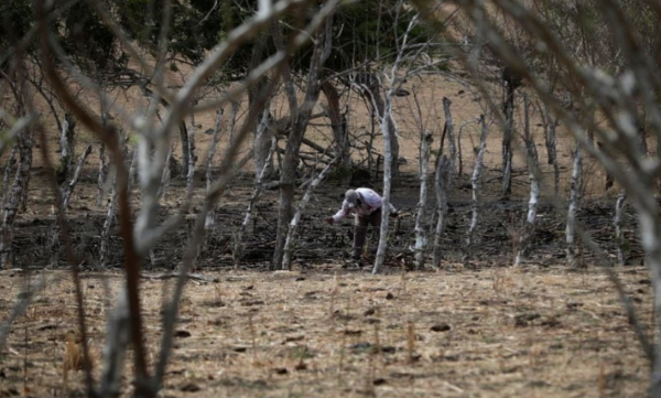 Nuevo pronóstico confirma que se espera un fenómeno de El Niño muy intenso para 2026: The Washington Post