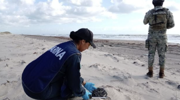 Han recolectado más de seis toneladas de hidrocarburos por derrame en playas tamaulipecas