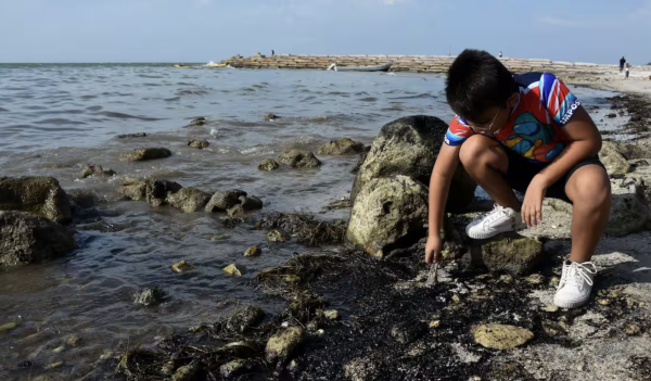 Oposición pide comparecencia a Pemex y Semarnat por derrame en el Golfo de México