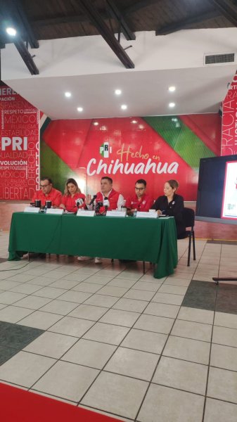 Movimiento Ciudadano es el esquirol y palero de Morena: Alejandro Domínguez