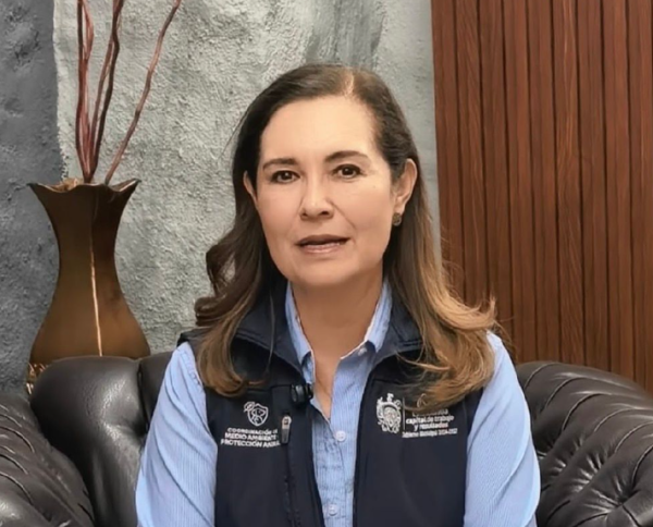 Podrías ser acreedor a hasta 36 horas de arresto por vender cachorros en la vía pública