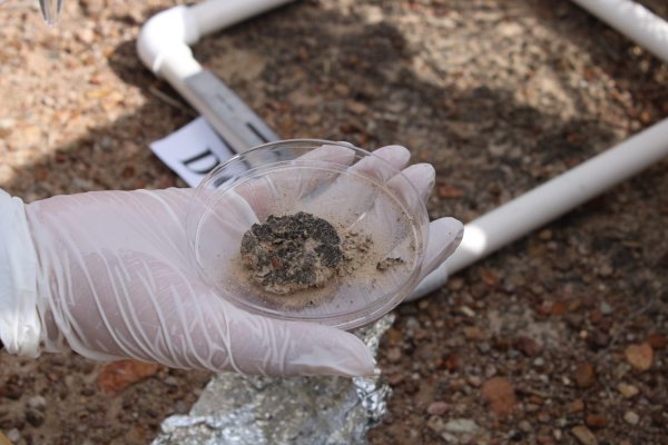 Científicos de la UACH estudian biocostras para combatir la degradación del suelo