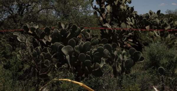 Colectivo de búsqueda halla dos cadáveres y un cráneo en un cerro de Jacona, Michoacán