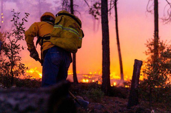 Disminuyen incendios forestales casi 60 por ciento en Chihuahua durante 2026: SDR