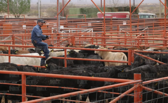 Cancelan el 3er Encuentro Ganadero Chihuahuense tras el asesinato de Gerardo López Palacios