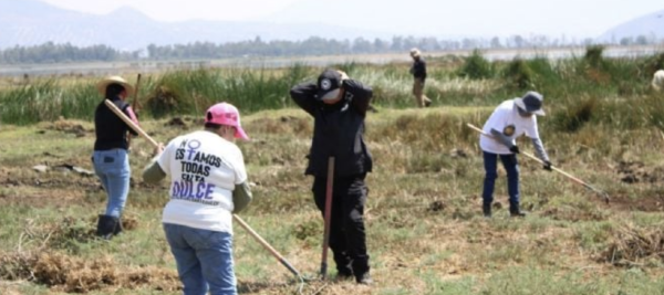 Localizan 317 restos óseos en límites de Tláhuac y Chalco