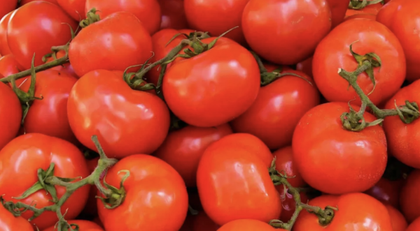 No hay ninguna razón para que el kilo de jitomate se venda a 80 pesos en Walmart: Sheinbaum