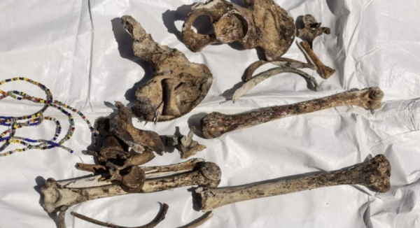 Madres buscadoras desafían las cifras oficiales de desaparecidos del gobierno de Sheinbaum