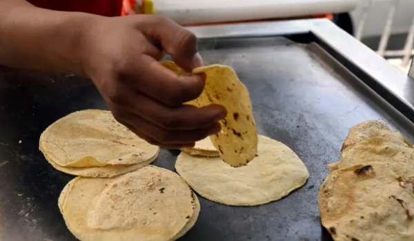 El aumento a la tortilla es injustificado; el precio del maíz cayó 20%: GCMA