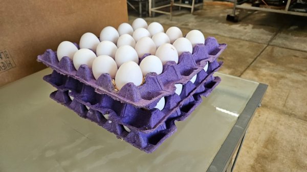 Realizan protesta en apoyo a familias por competencia desleal al comercio de huevos