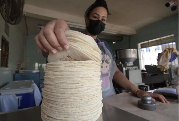 Se reunirá Sader con tortilleros de Cuauhtemoc el 21 de abril