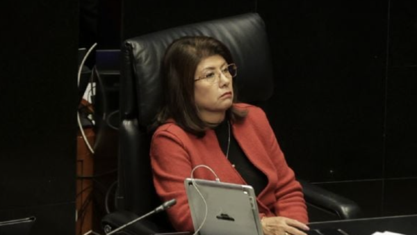 Senadora de Morena admite que ordenó sacrificar a 10 mil perros en Tecámac