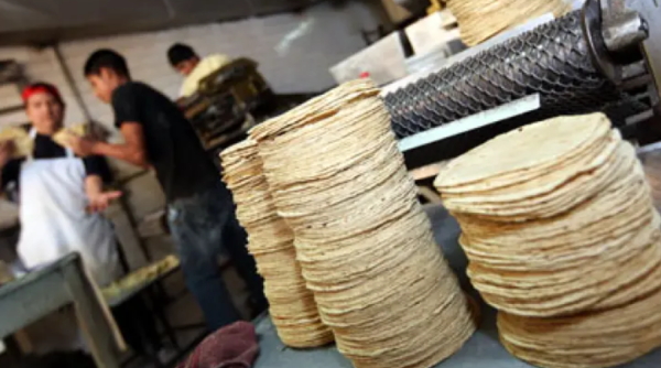 Sheinbaum vs tortilleros ¿Qué se sabe sobre el aumento al precio de la tortilla?