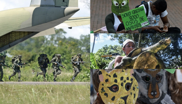 El conflicto armado en Colombia amenaza con extinguir 44 especies de animales