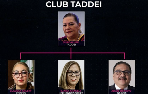 El club Taddei: red de funcionarios y su proveedor se reencuentran en el INE