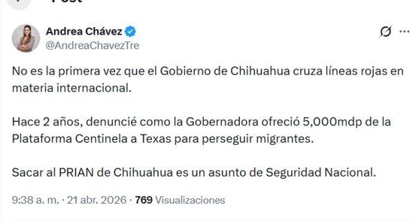 Chihuahua cruza  