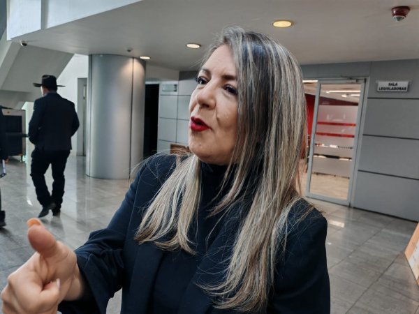 Espera Rosana Díaz concluya proceso en la CNHJ para dejar Morena y siglarse al PVEM
