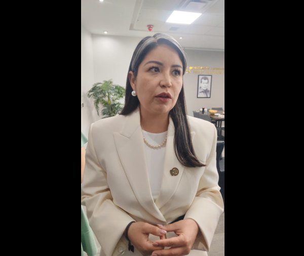 Lo que se sabe es que eran instructores, debemos esperar información oficial: Nancy Frías