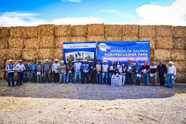 Entregan más de 400 pacas de rastrojo subsidiadas a productores de Meoqui