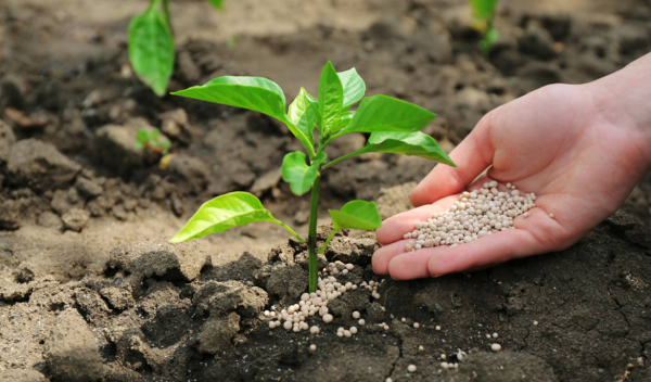 Alza de fertilizantes golpea al campo mexicano