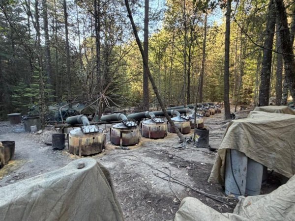 A la 4T molestó el desmantelamiento del laboratorio y la afectación al crimen organizado: Alex Domínguez