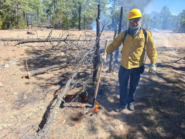 Llama SDR a evitar quemas agrícolas sin autorización para prevenir incendios forestales